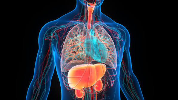 Complications of SCD: Organ Damage | Sickle Cell Disease (SCD) | CDC